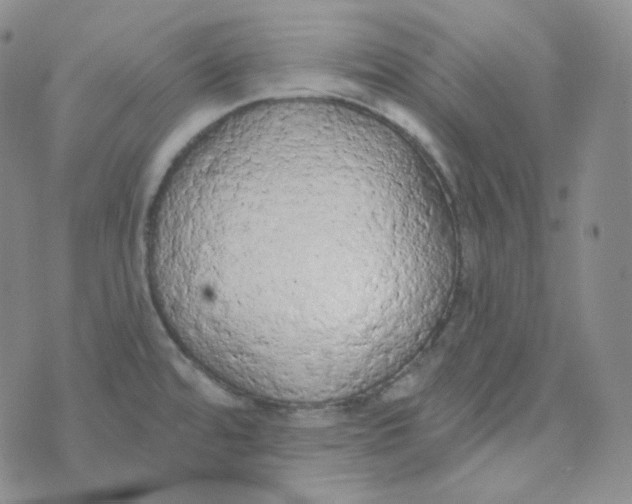 X0000074301480200609151929