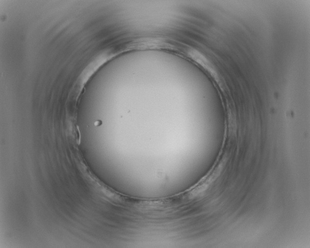 X0000074301481200609151929