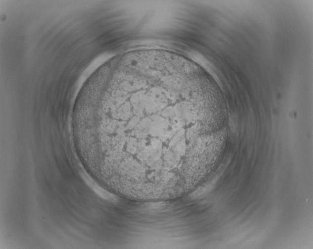 X0000074301482200609151929