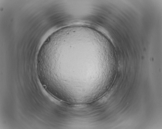 X0000074301483200609151929