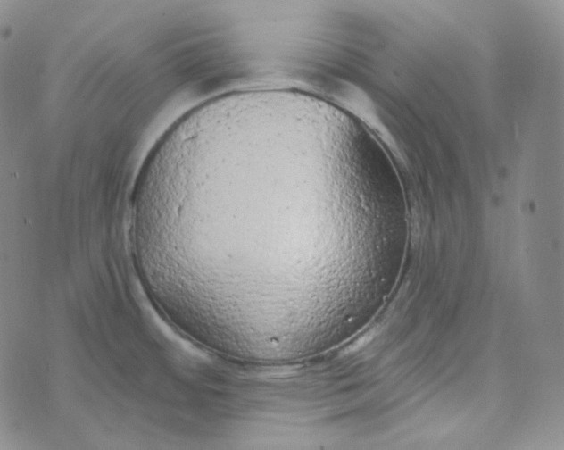 X0000074301484200609151929