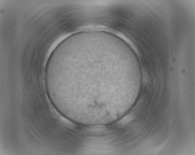 X0000074301486200609151929