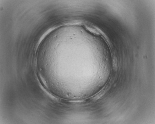 X0000074301487200609151929