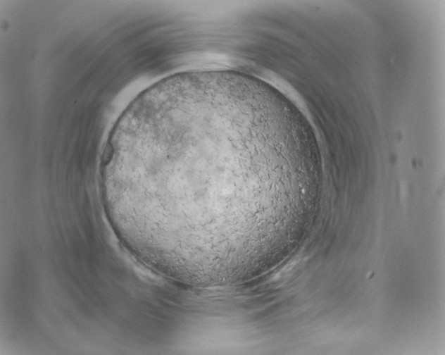 X0000074301488200609151929