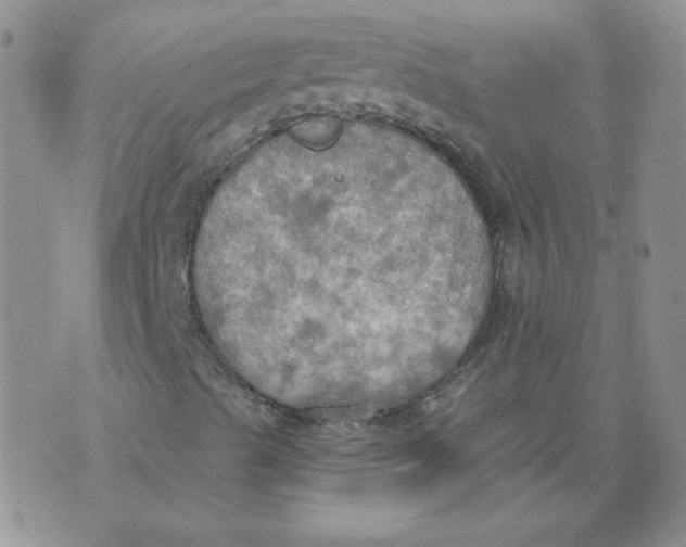 X0000074301489200609151928