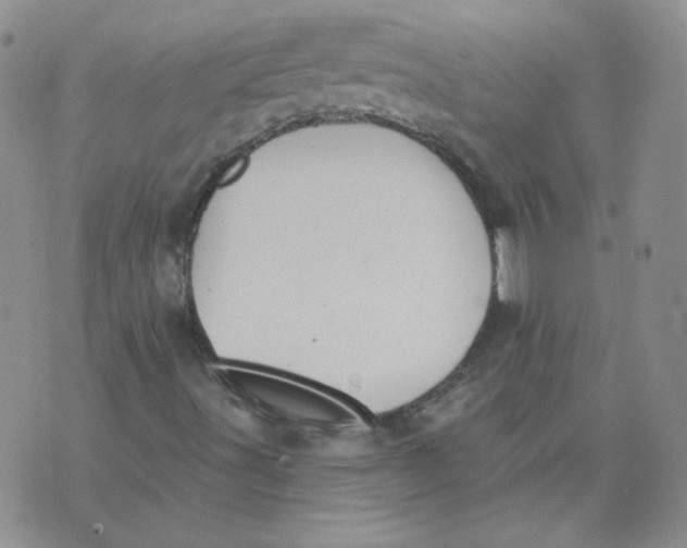 X0000074301491200609151928