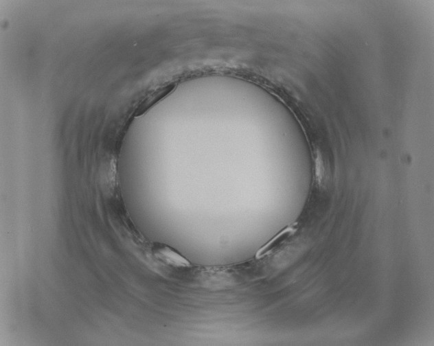 X0000074301492200609151928