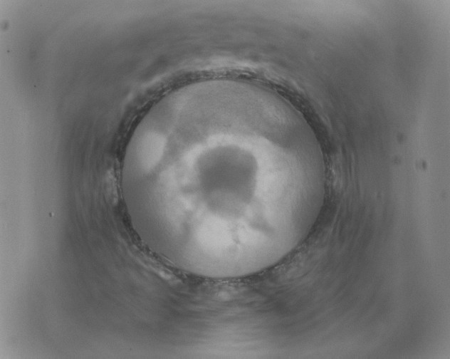 X0000074301493200609151928