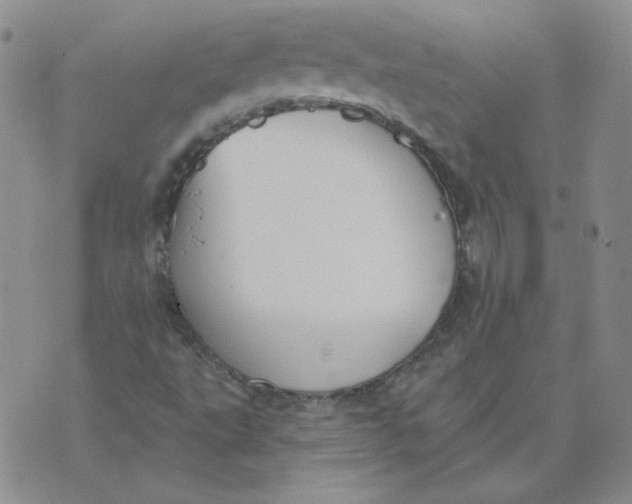 X0000074301495200609151929