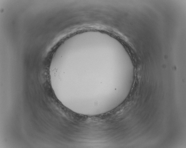 X0000074301496200609151929