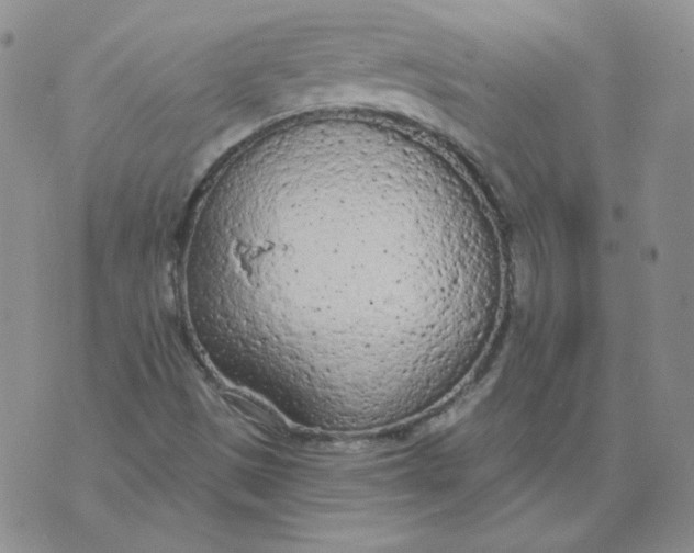 X0000074301497200609151929