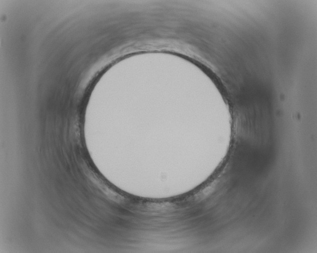 X0000074301498200609151929