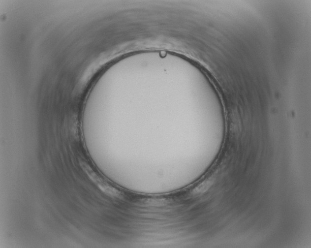 X0000074301499200609151929