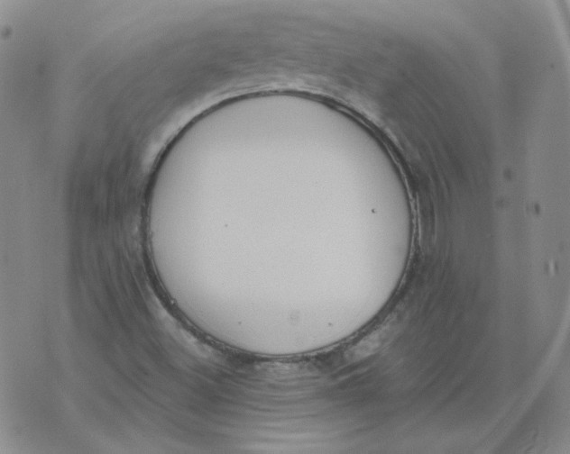 X0000074301500200609151929