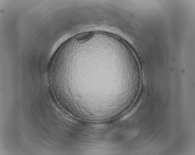 X0000074301501200609151929