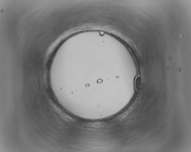 X0000074301502200609151929