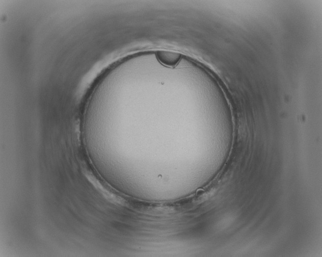 X0000074301503200609151929