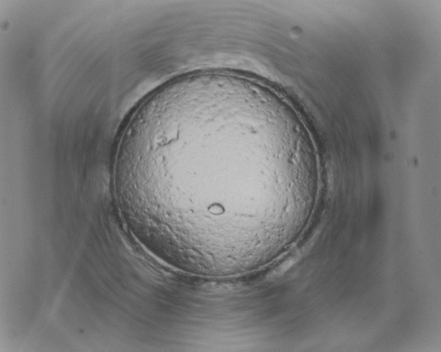 X0000074301505200609151929