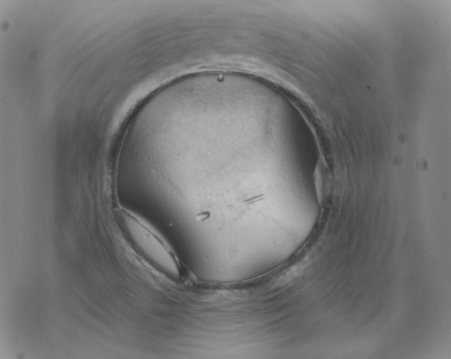 X0000074301506200609151929