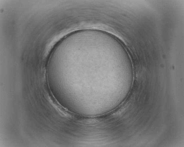 X0000074301507200609151929