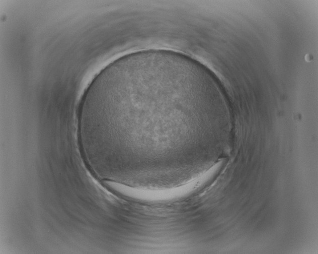 X0000074301508200609151929