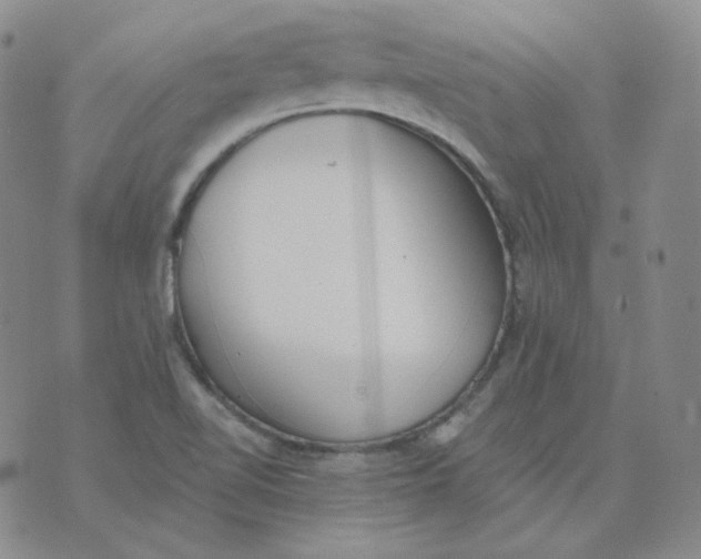 X0000074301510200609151929