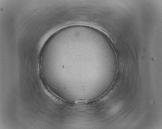 X0000074301511200609151929