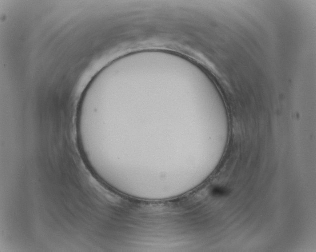 X0000074301512200609151929