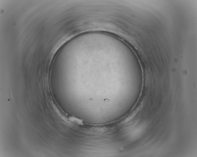 X0000074301513200609151929