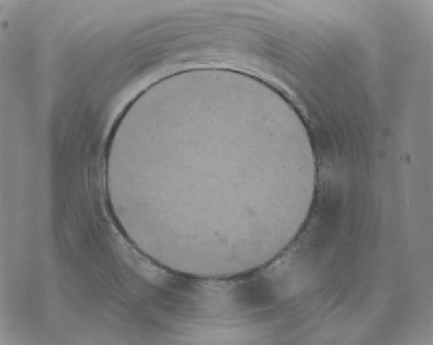 X0000074301514200609151929