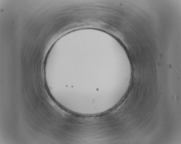 X0000074301516200609151929