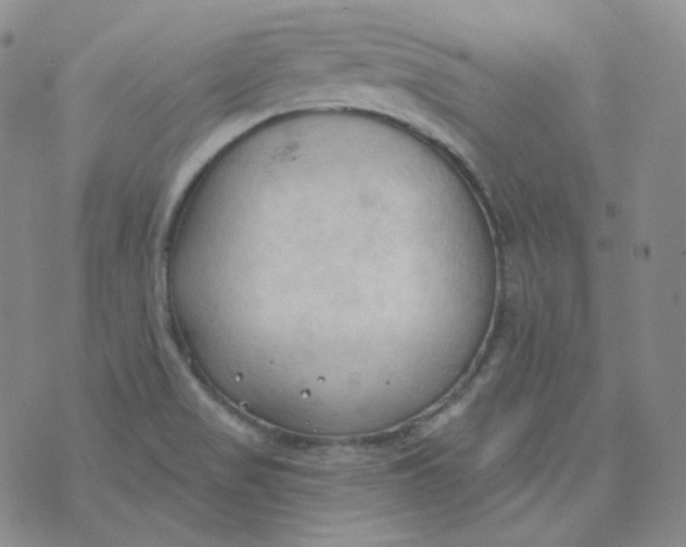 X0000074301517200609151929