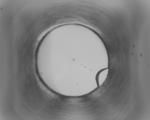 X0000074301518200609151929