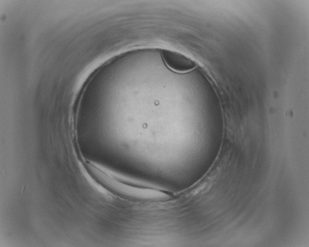 X0000074301519200609151929