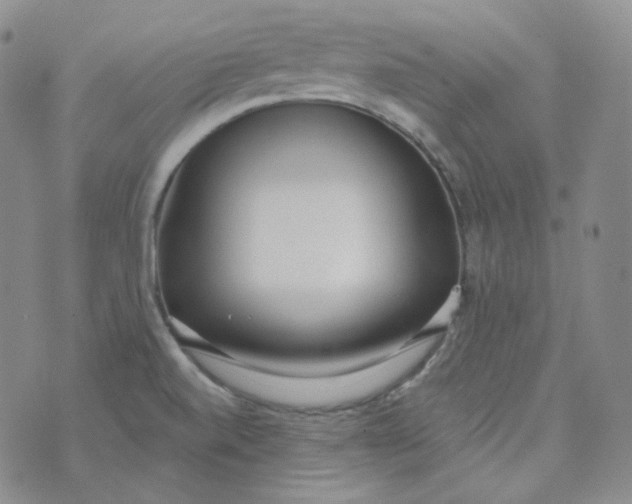 X0000074301520200609151929