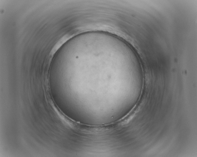 X0000074301521200609151929