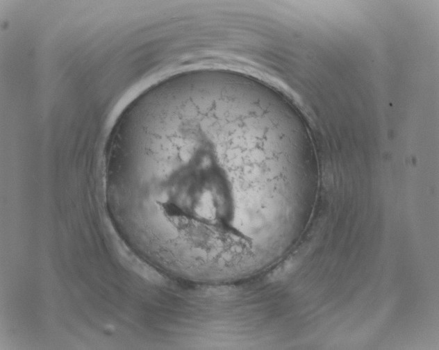 X0000074301522200609151929