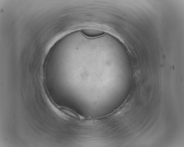 X0000074301523200609151929