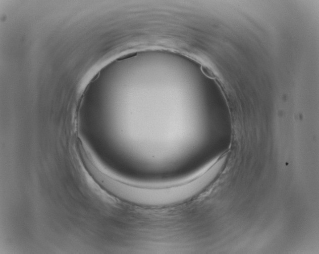 X0000074301524200609151929