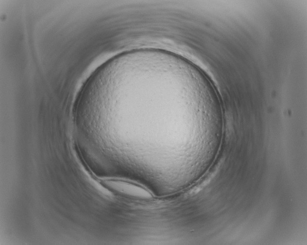 X0000074301525200609151929