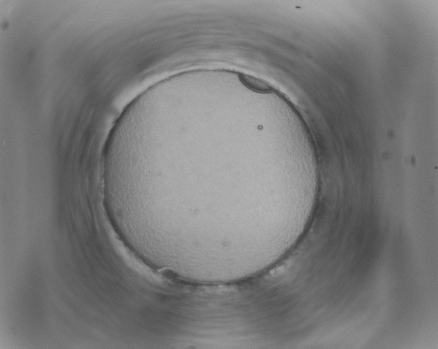 X0000074301526200609151929