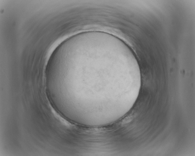 X0000074301527200609151929