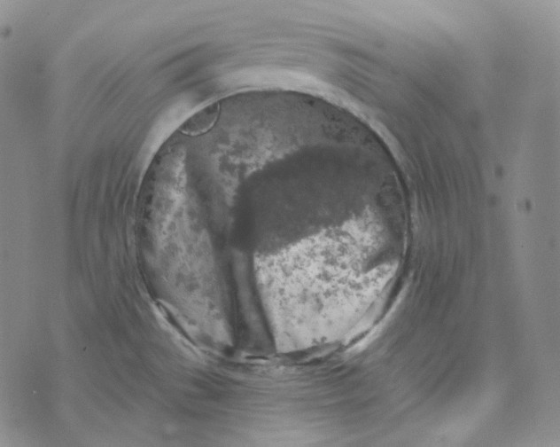 X0000074301529200609151929