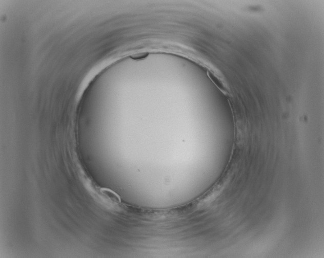 X0000074301530200609151929