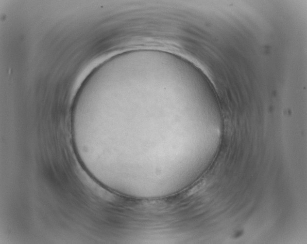 X0000074301531200609151929