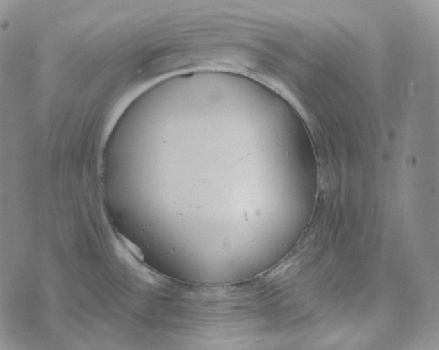 X0000074301532200609151929