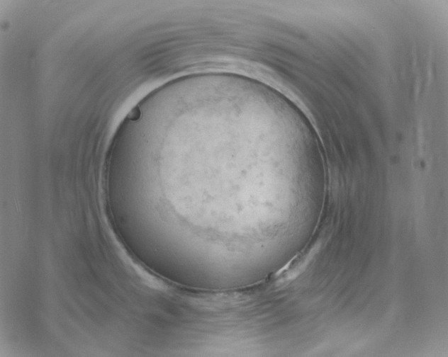 X0000074301533200609151929