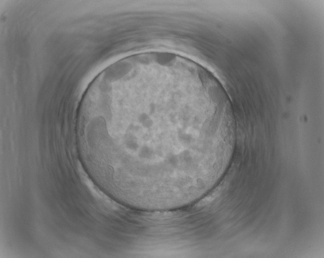 X0000074301534200609151929