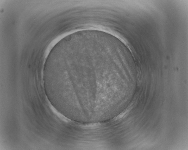 X0000074301535200609151929