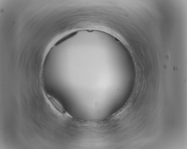 X0000074301536200609151929